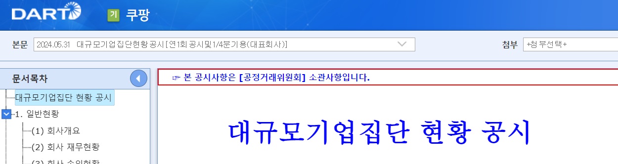 출처 : 전자공시시스템 DART (주)쿠팡 검색