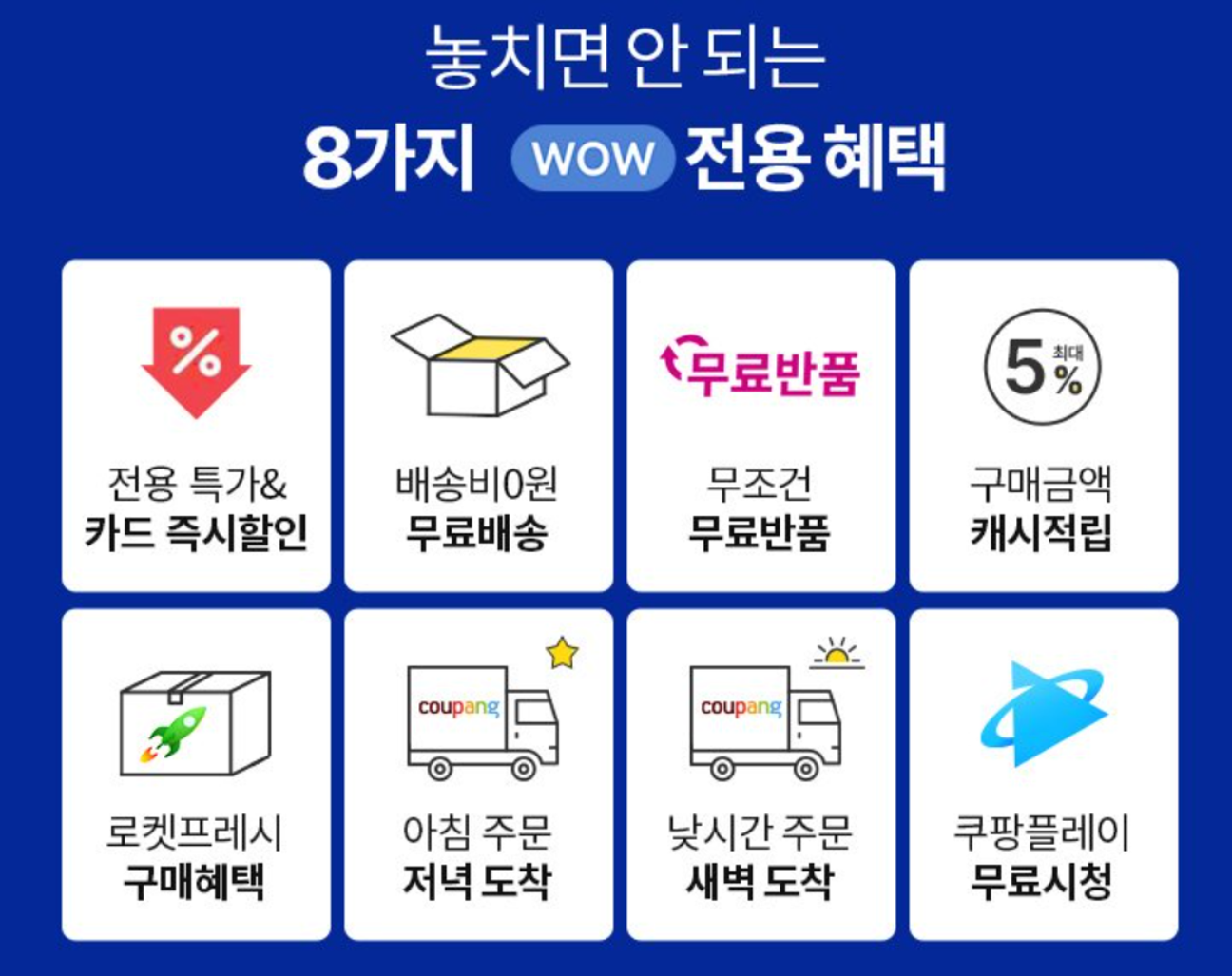 큐레이터 단비 글 이미지