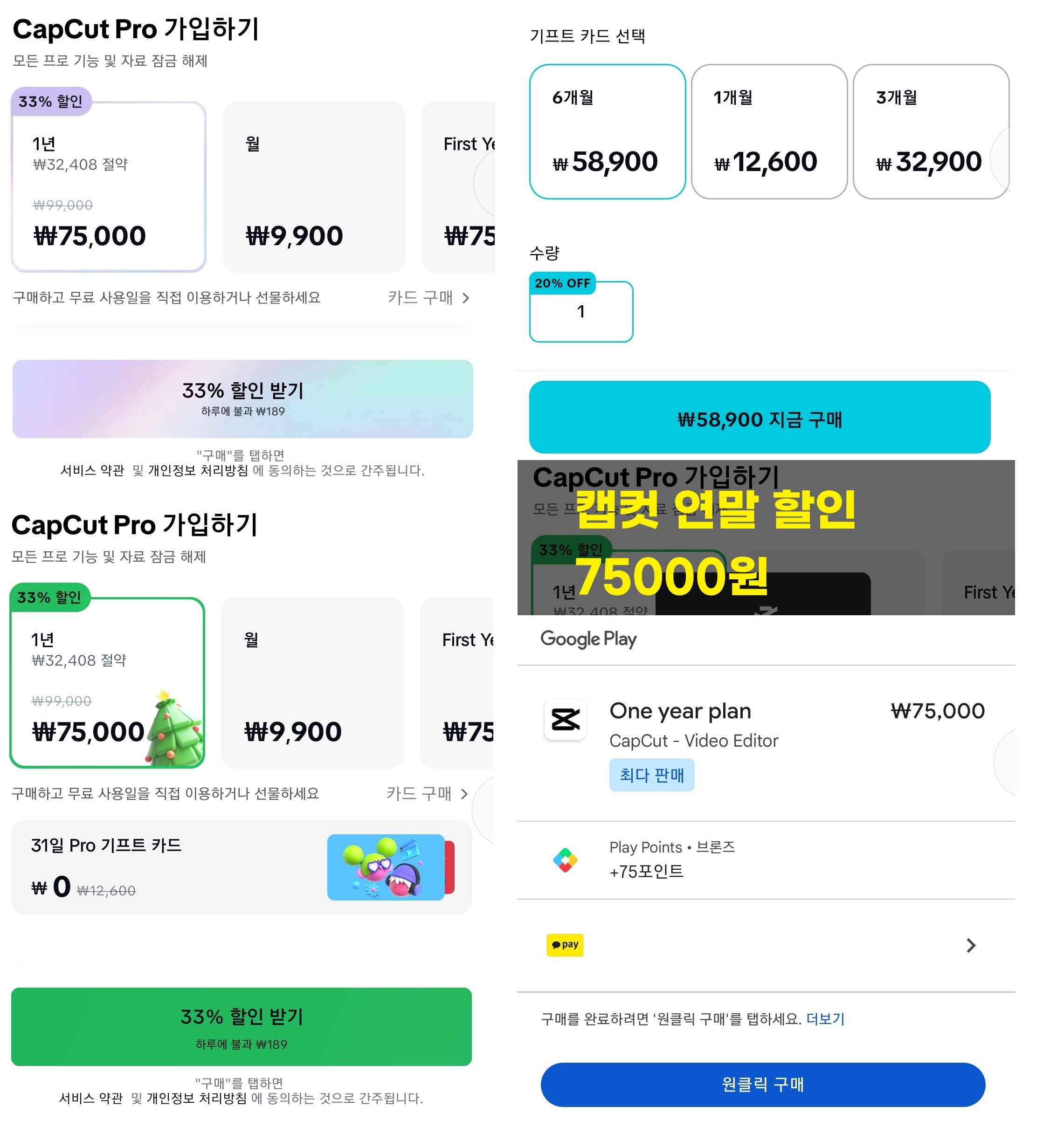 큐레이터 단비 글 이미지