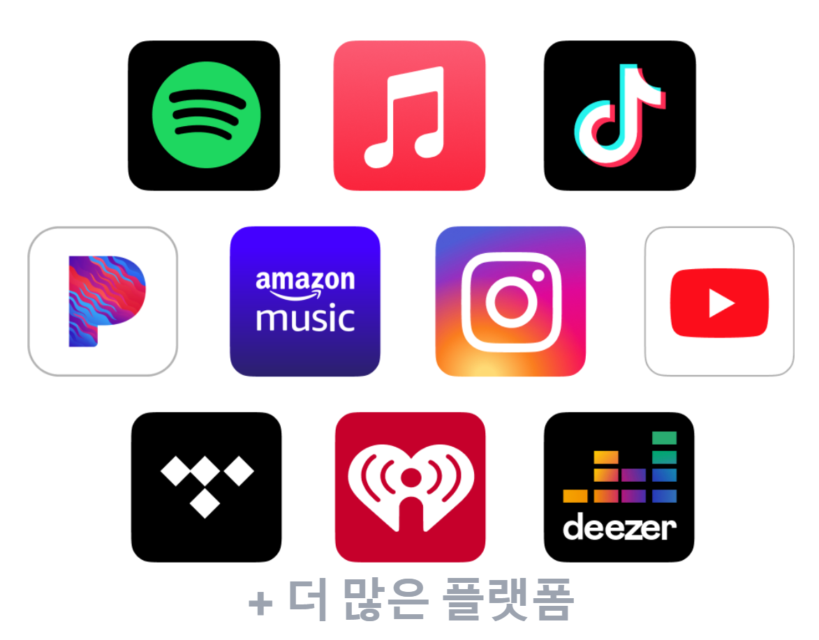 큐레이터 단비 글 이미지