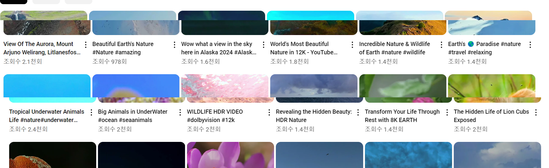 큐레이터 단비 글 이미지