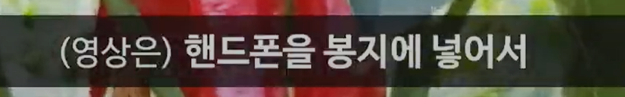큐레이터 단비 글 이미지