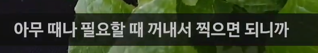큐레이터 단비 글 이미지