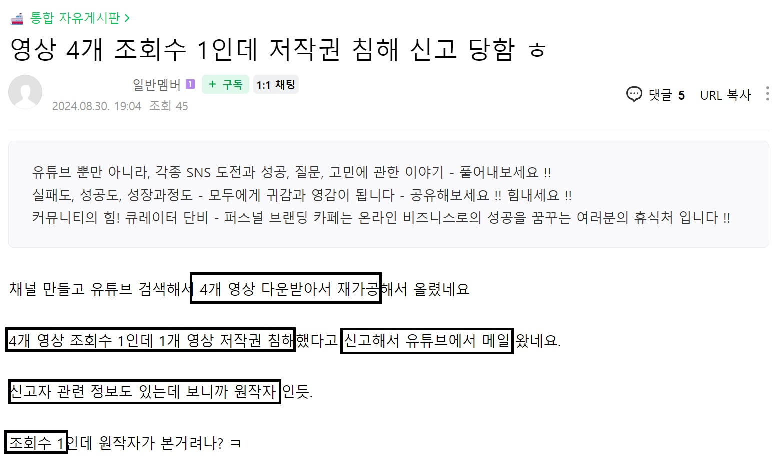 큐레이터 단비 글 이미지
