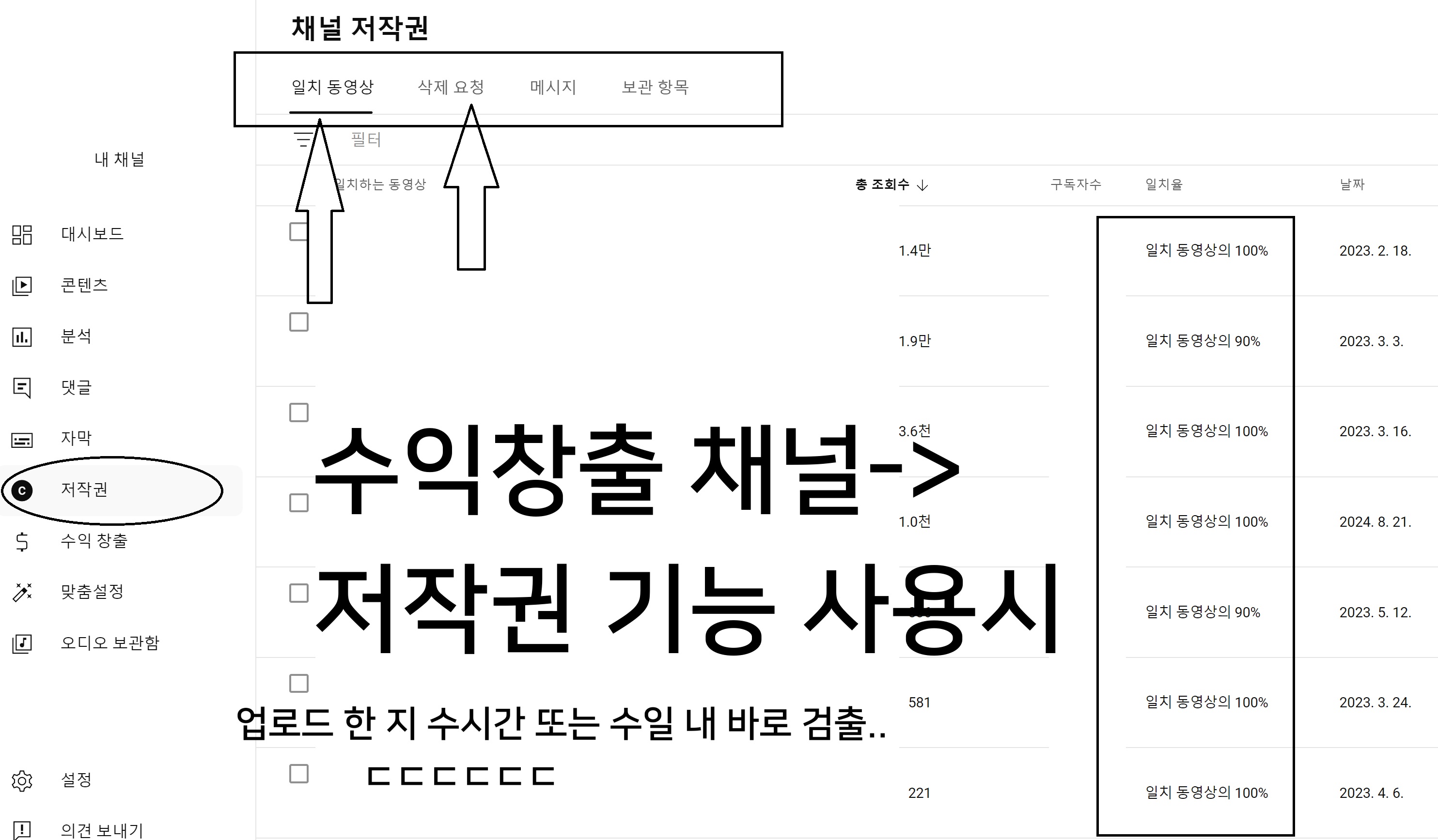 큐레이터 단비 글 이미지