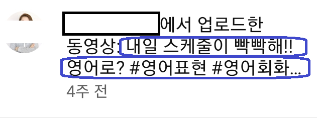 큐레이터 단비 글 이미지