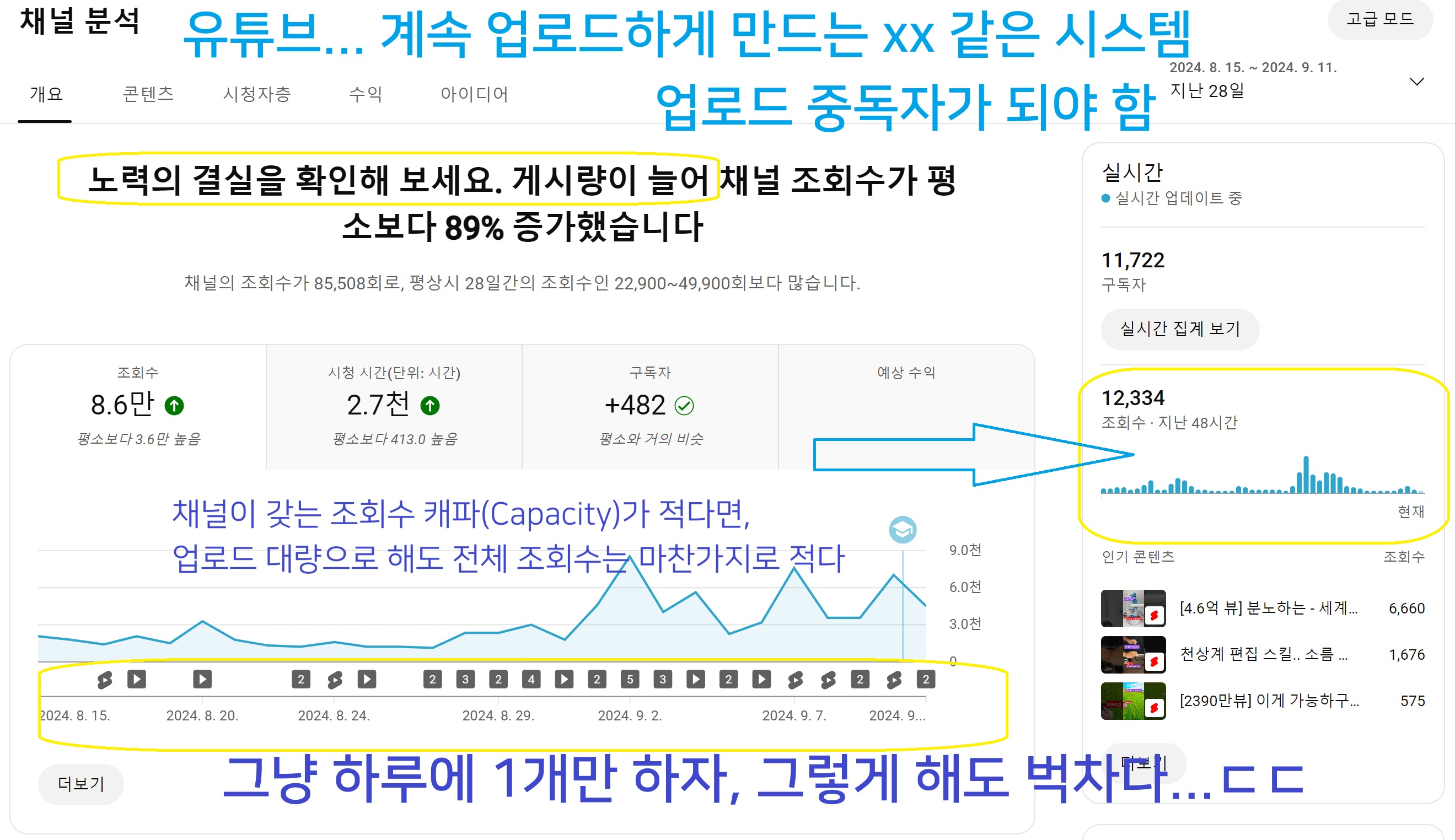 큐레이터 단비 글 이미지
